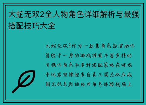 大蛇无双2全人物角色详细解析与最强搭配技巧大全